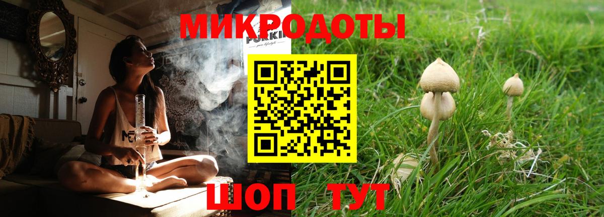Орехово-Зуево  Галлюциногенные грибы Psilocybine cubensis  Вход с VPN 